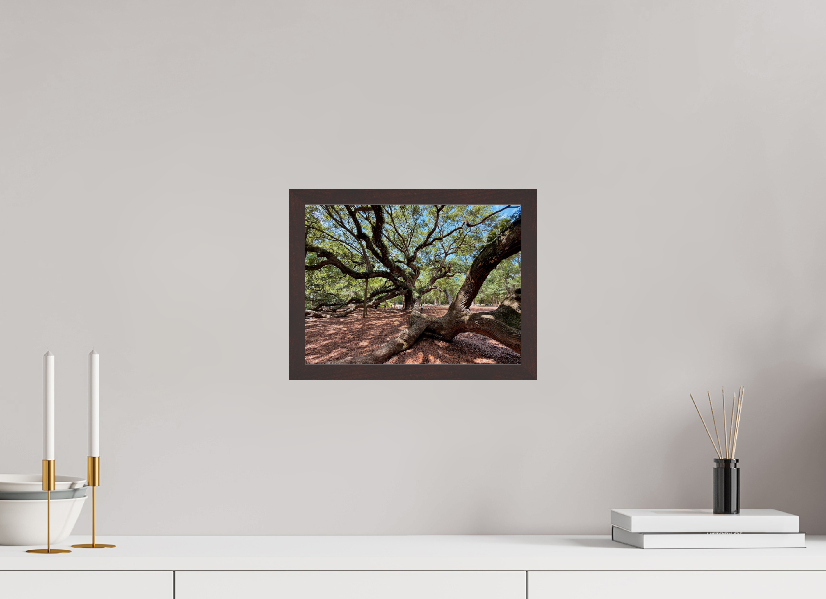 12 x 9″, ArtBox On Aluminum Dibond Angel Oak