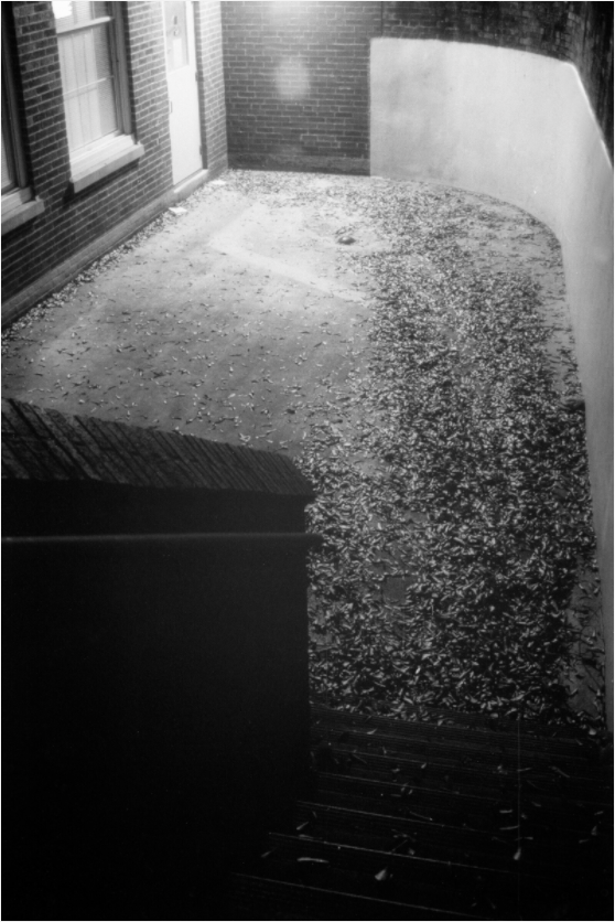 Main image Forgotten Space