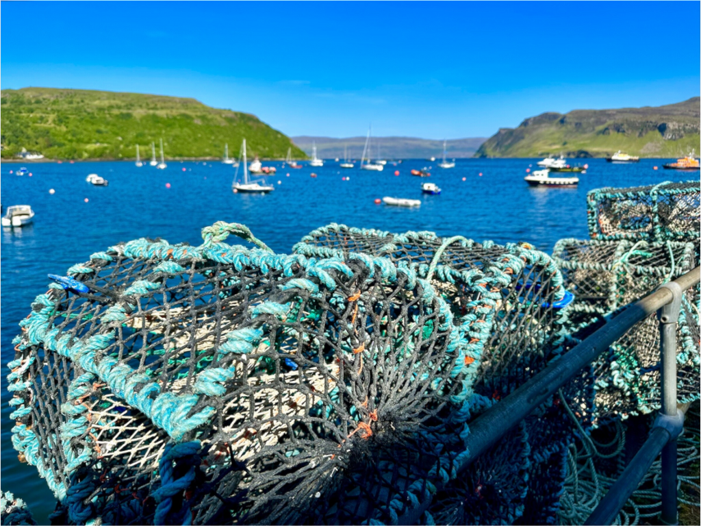 Main image Crab Pots