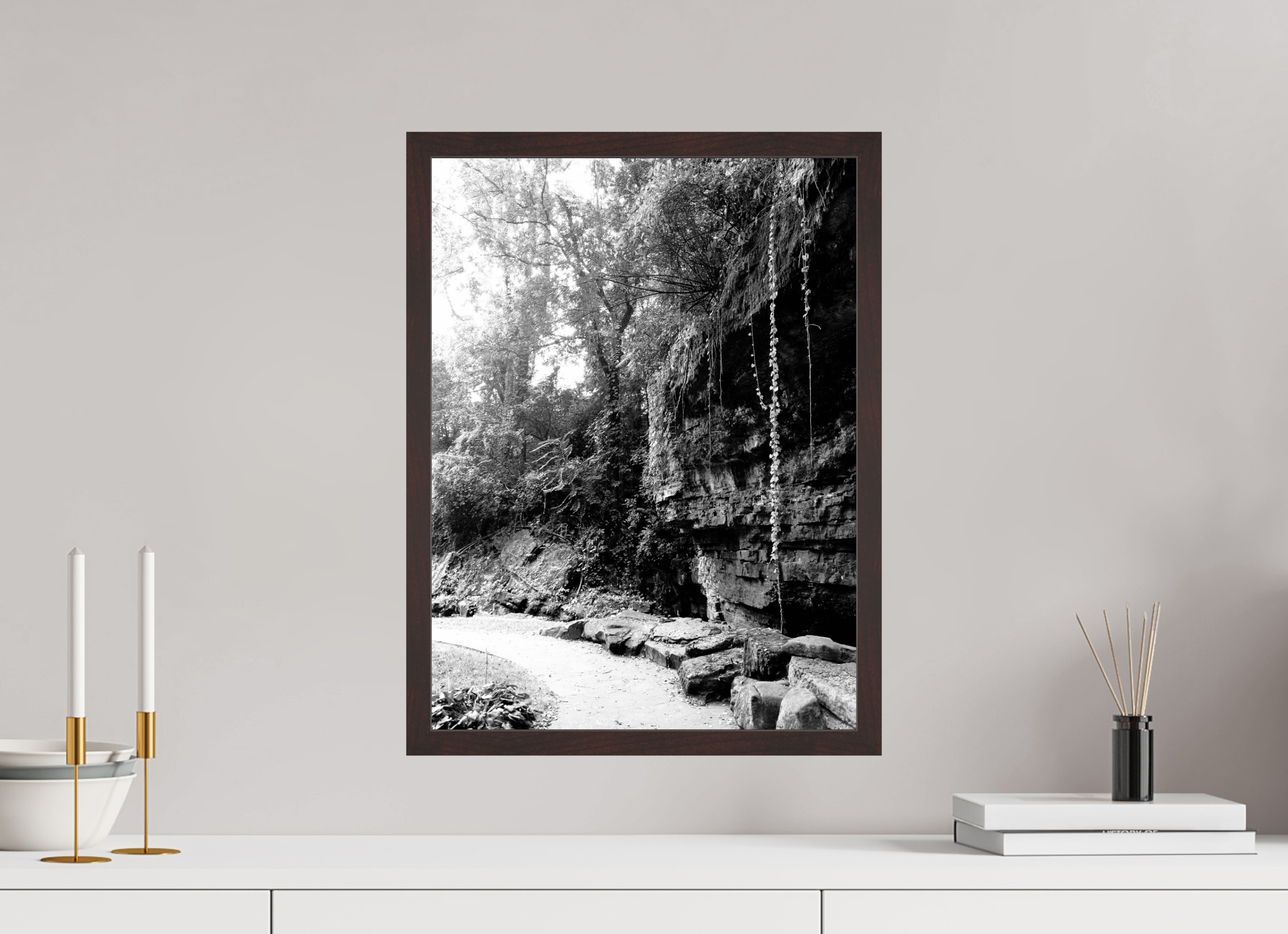 15 x 20″, ArtBox On Aluminum Dibond Vines Falling from Cliff