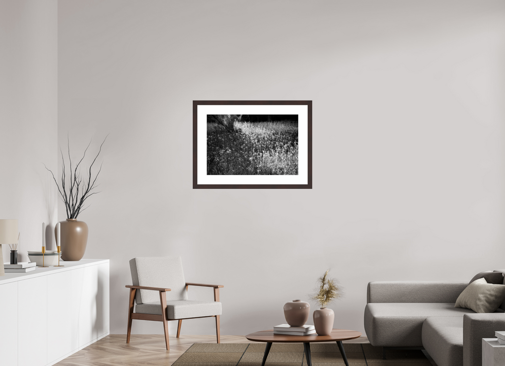 30 x 20″, Framed, Alder Brown, B&W Print Sunlit Field