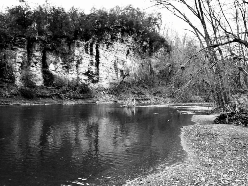 Main image On the Chestatee