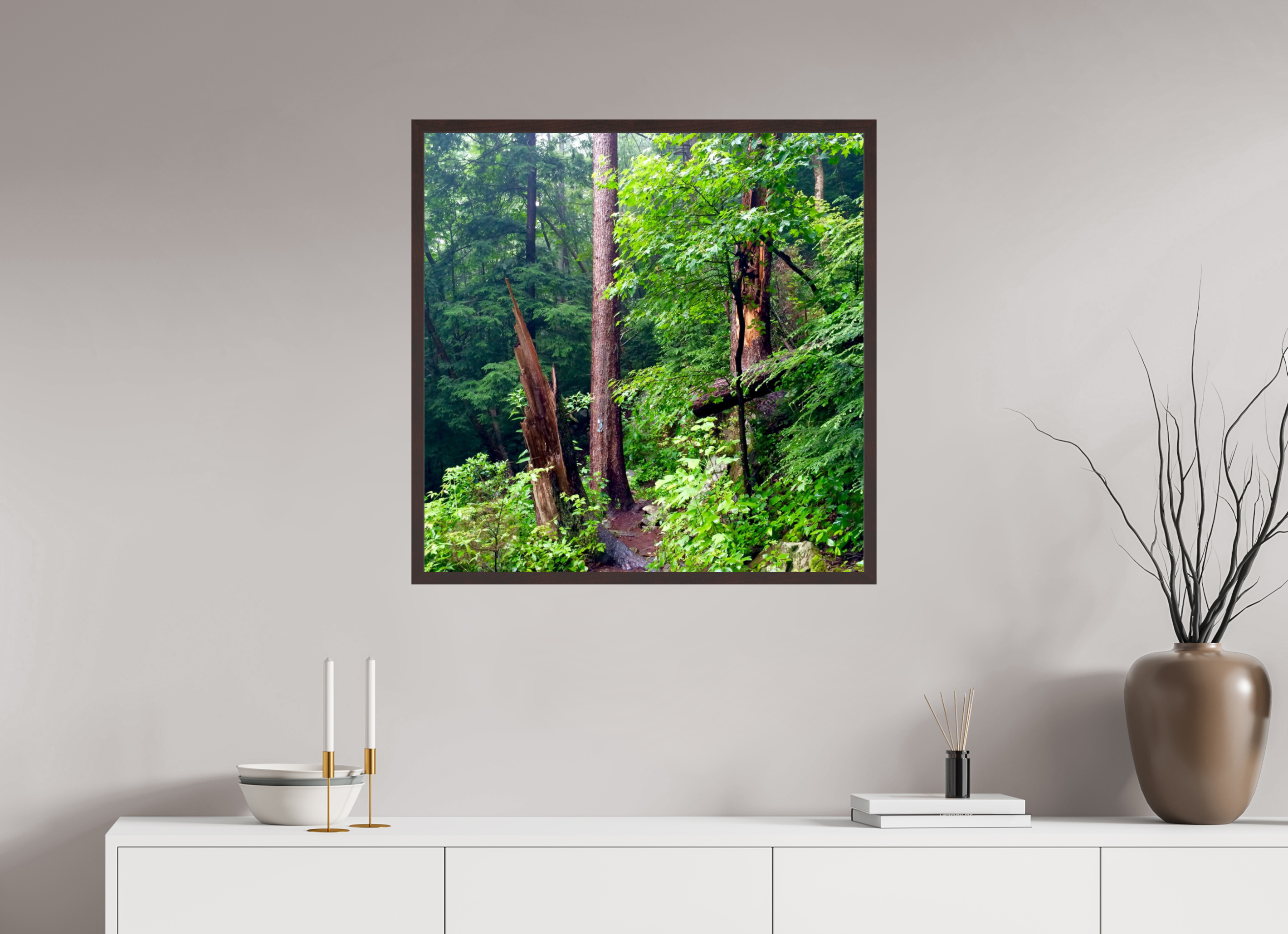 30 x 30″, ArtBox On Aluminum Dibond Tree Stumps
