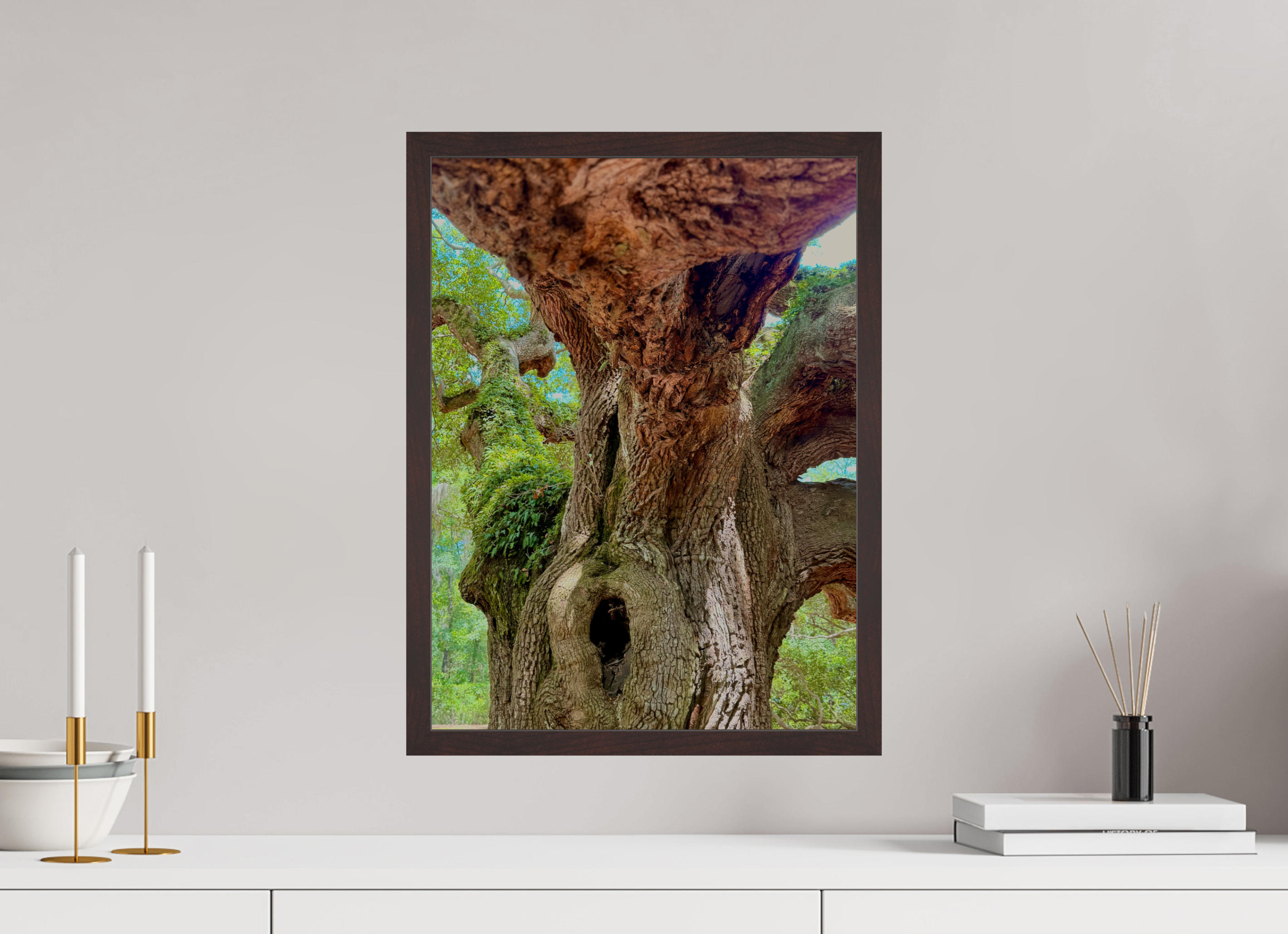 15 x 20″, ArtBox On Aluminum Dibond Angel Oak
