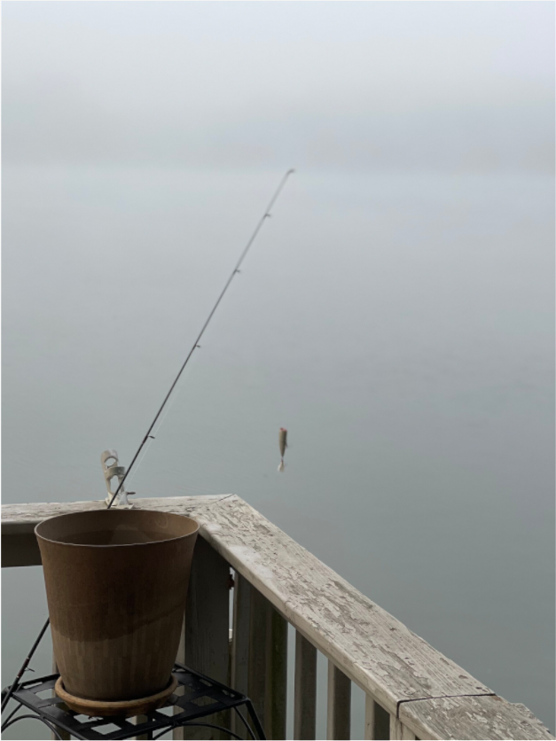 Main image Fish Tackle