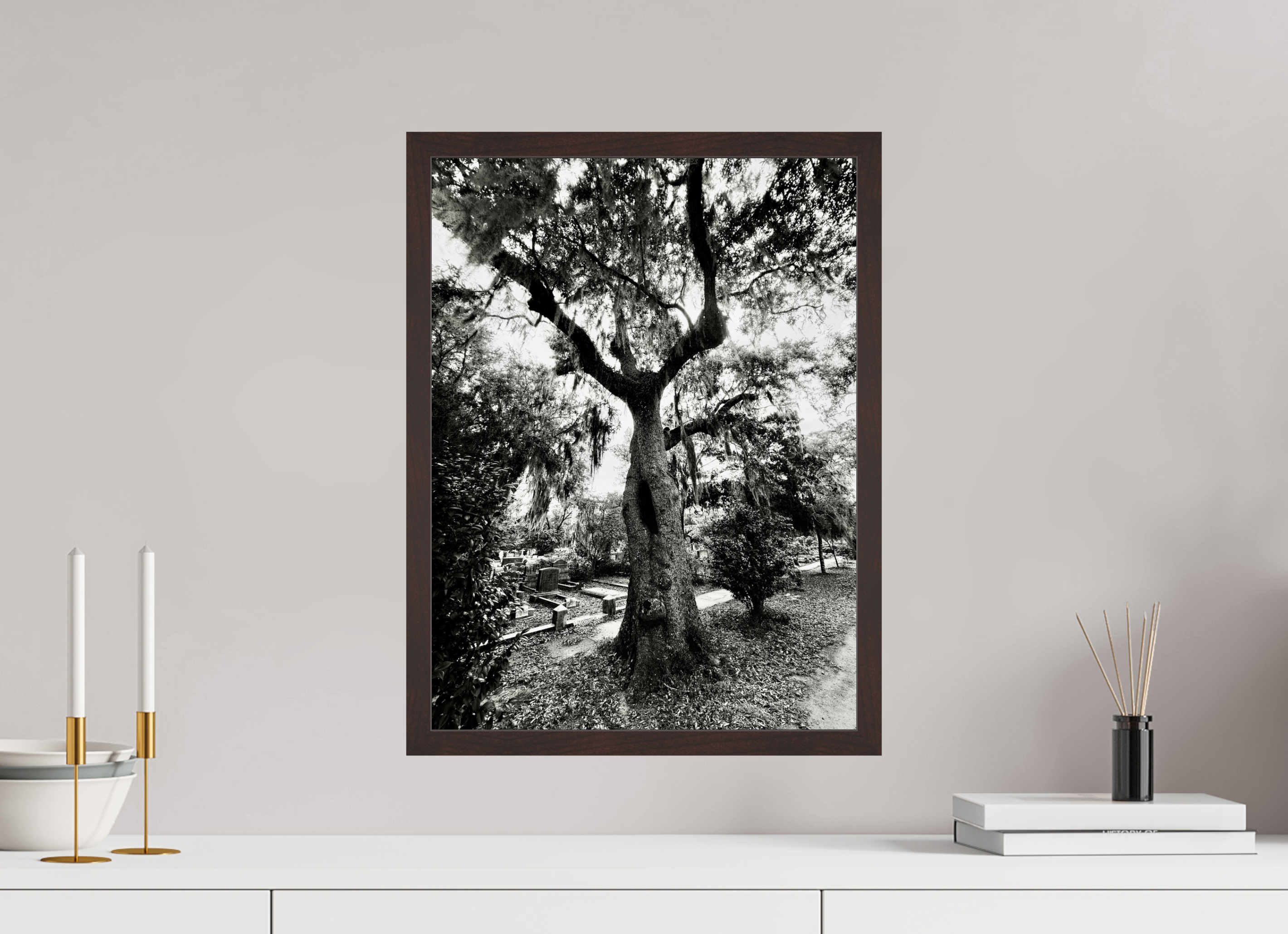 15 x 20″, ArtBox On Aluminum Dibond Tree at Bonaventure Cemetery