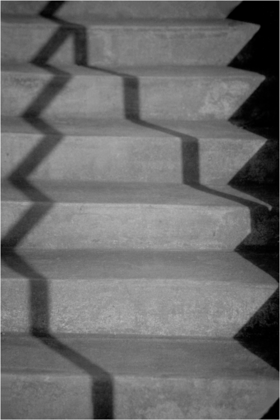 Main image Step Shadows