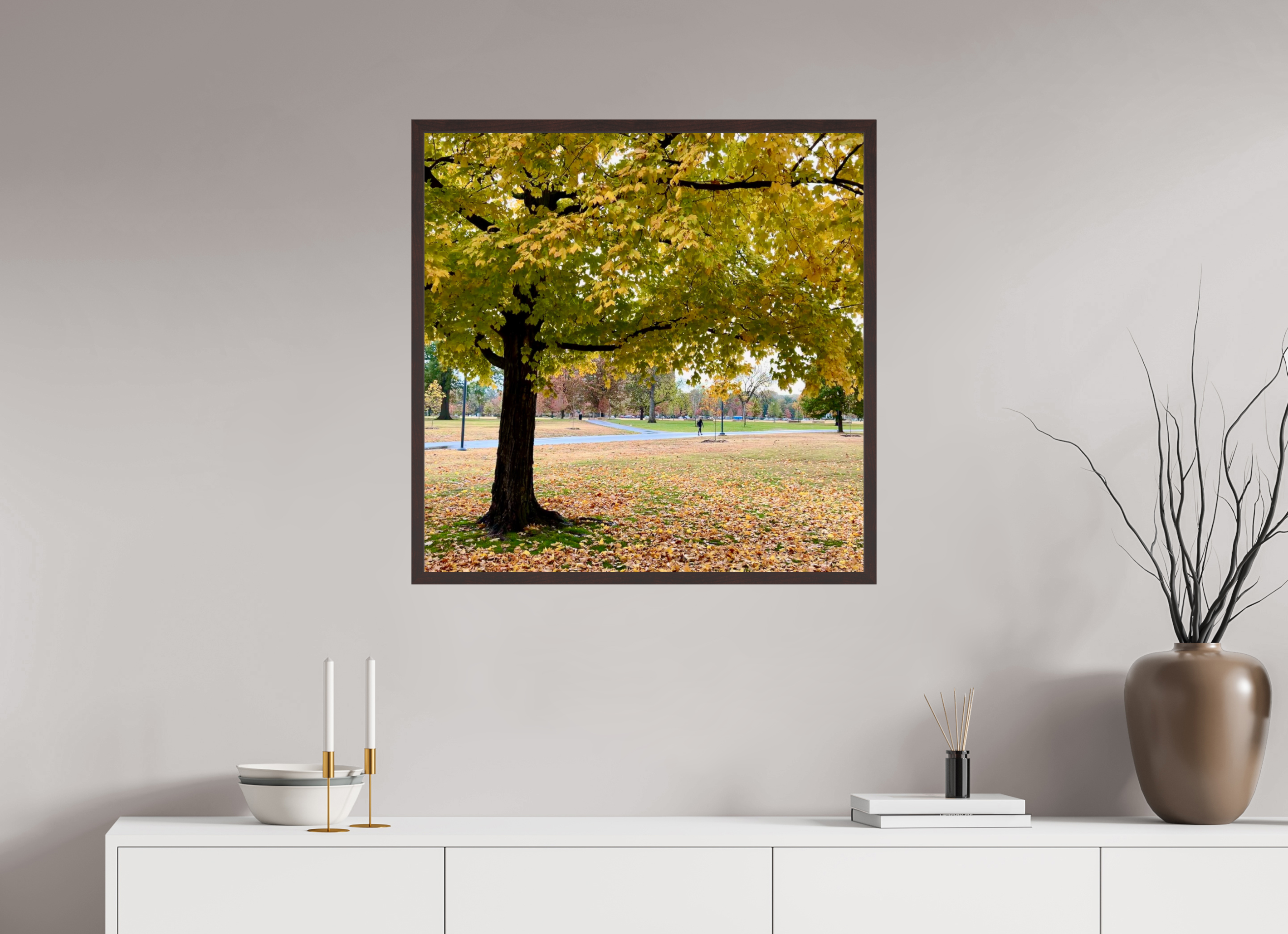 30 x 30″, ArtBox On Aluminum Dibond A Tree In Centennial Park