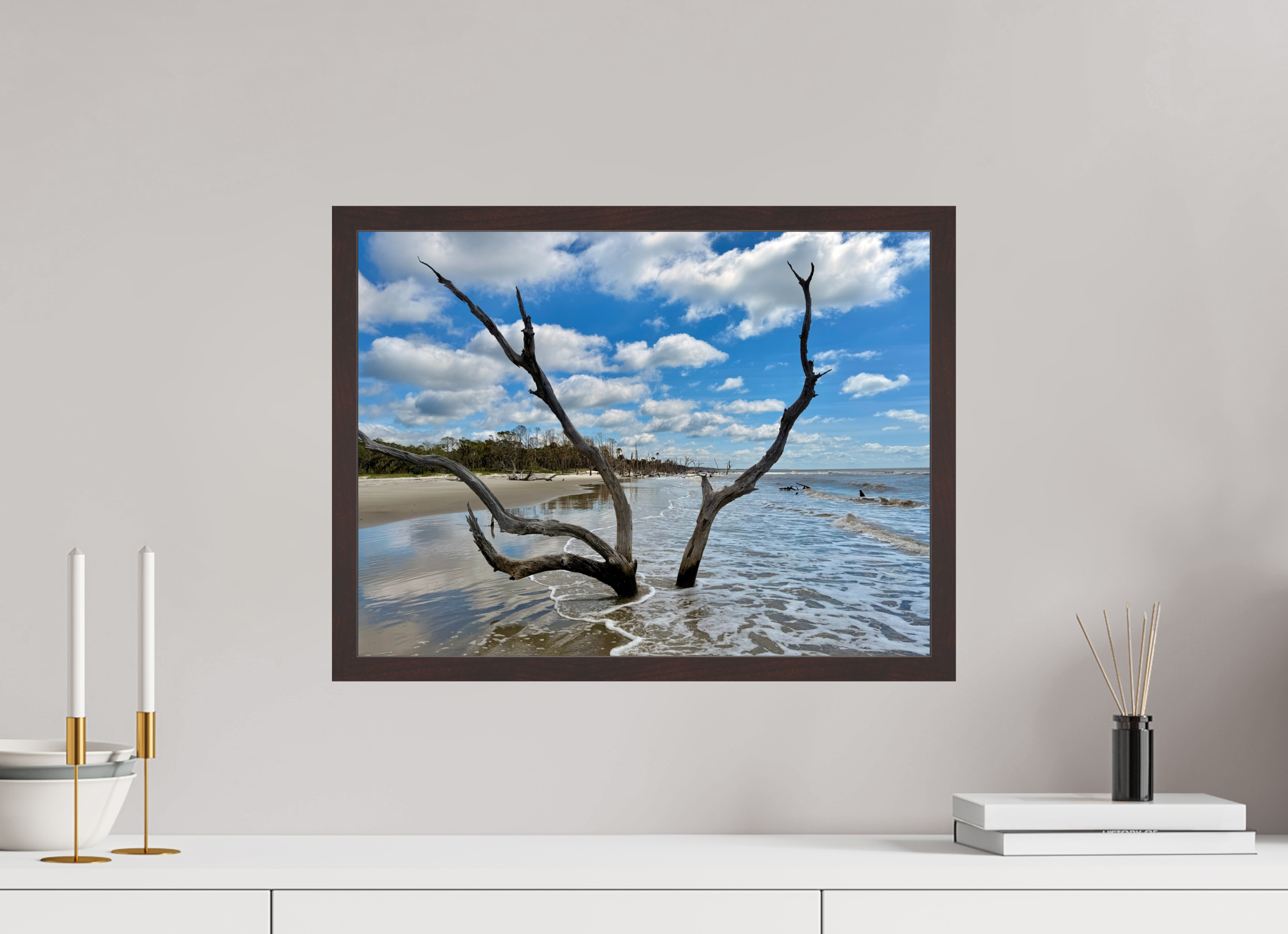 20 x 15″, ArtBox On Aluminum Dibond Tree at Capers Island