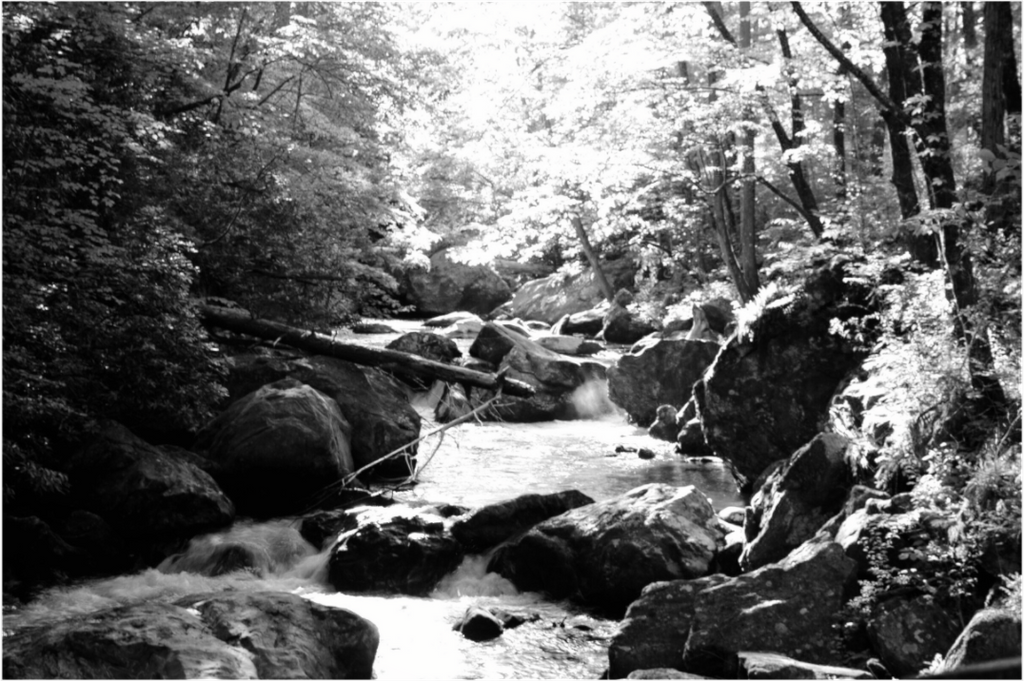 Main image Tallulah Gorge