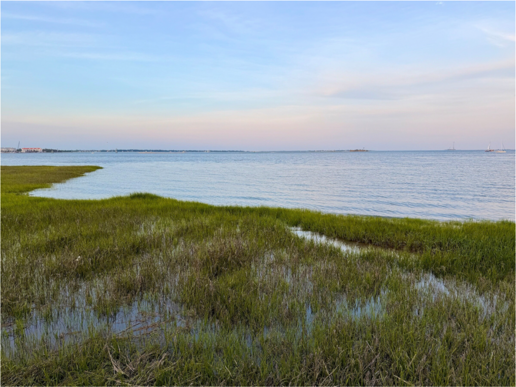Main image Marsh at Charleston Harbor