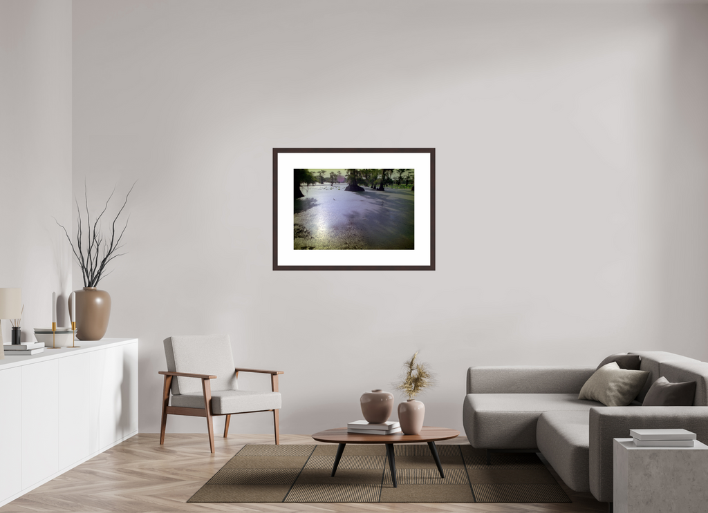 35.6 x 24″, Framed, Alder Brown, Color Print Cypress Lake