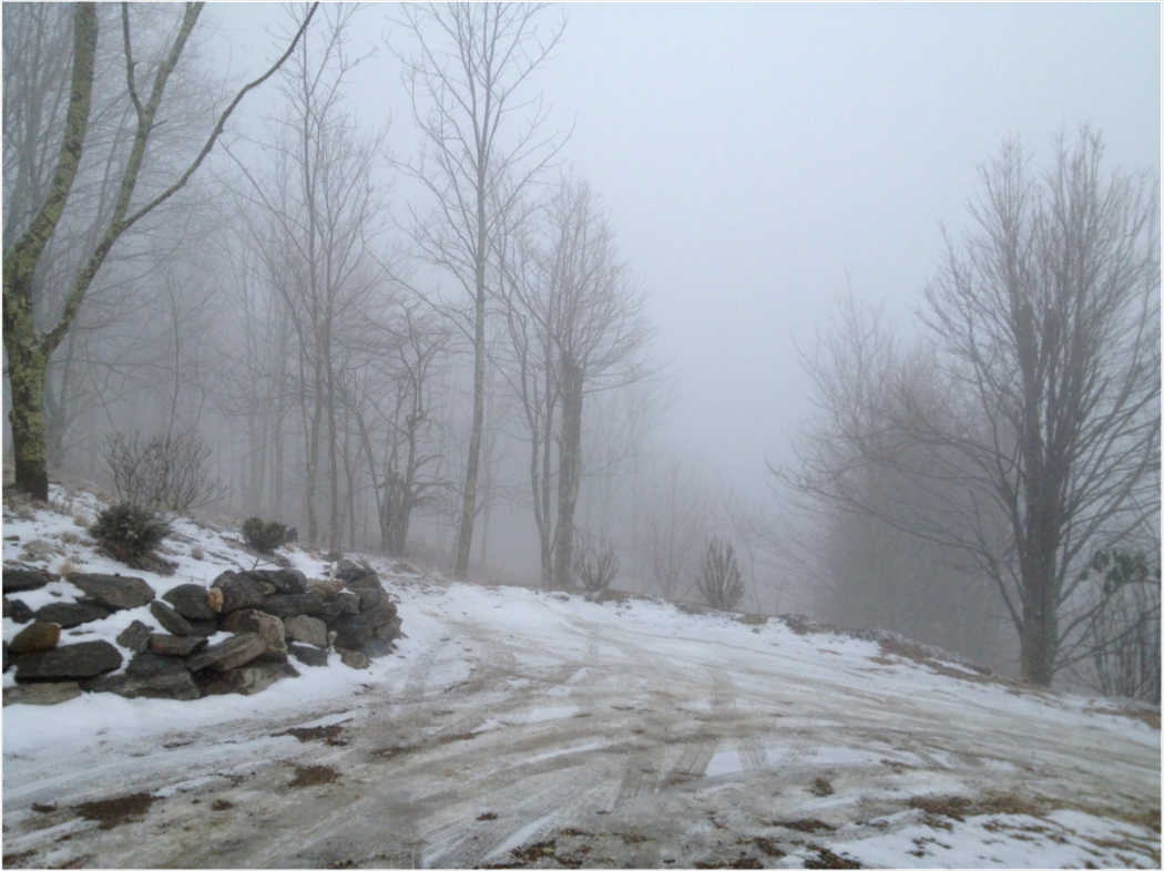 Main image Winter Scene