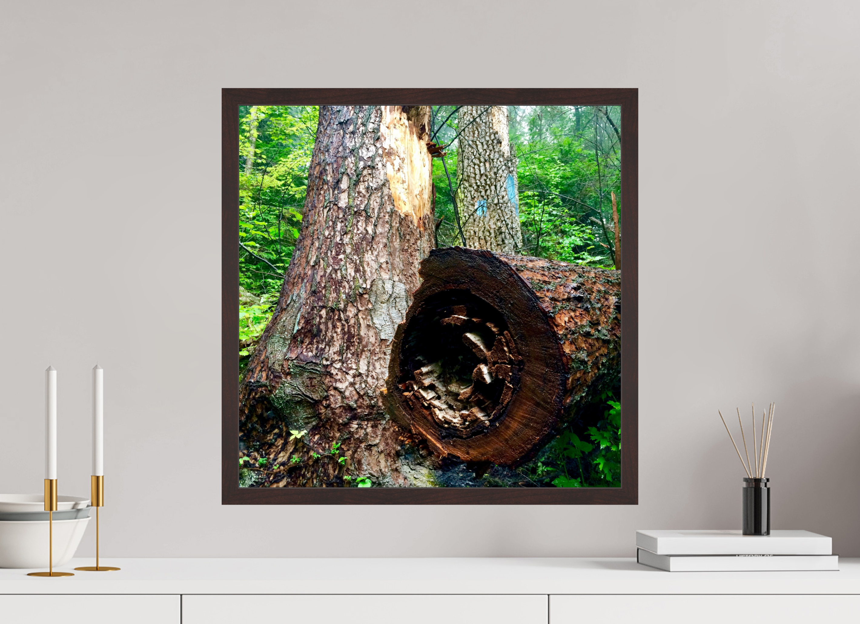 20 x 20″, ArtBox On Aluminum Dibond Cut Tree