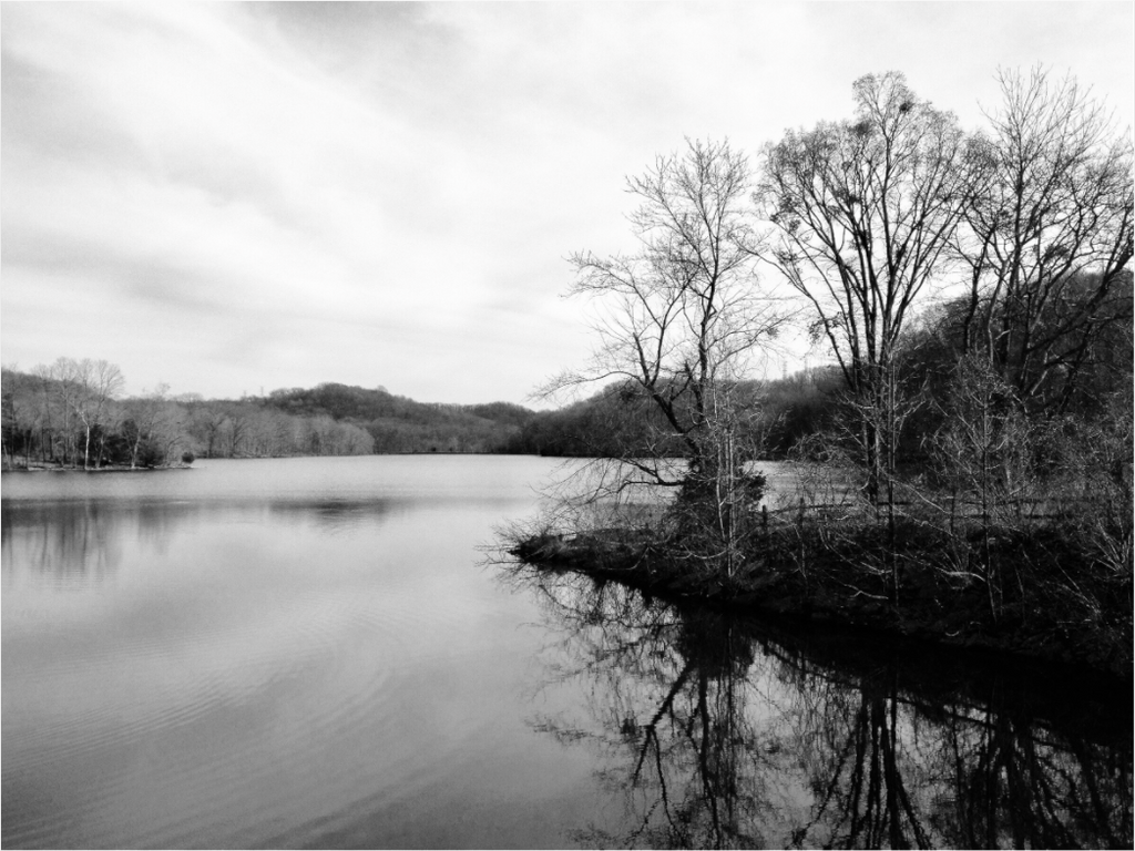 Main image Radnor Lake
