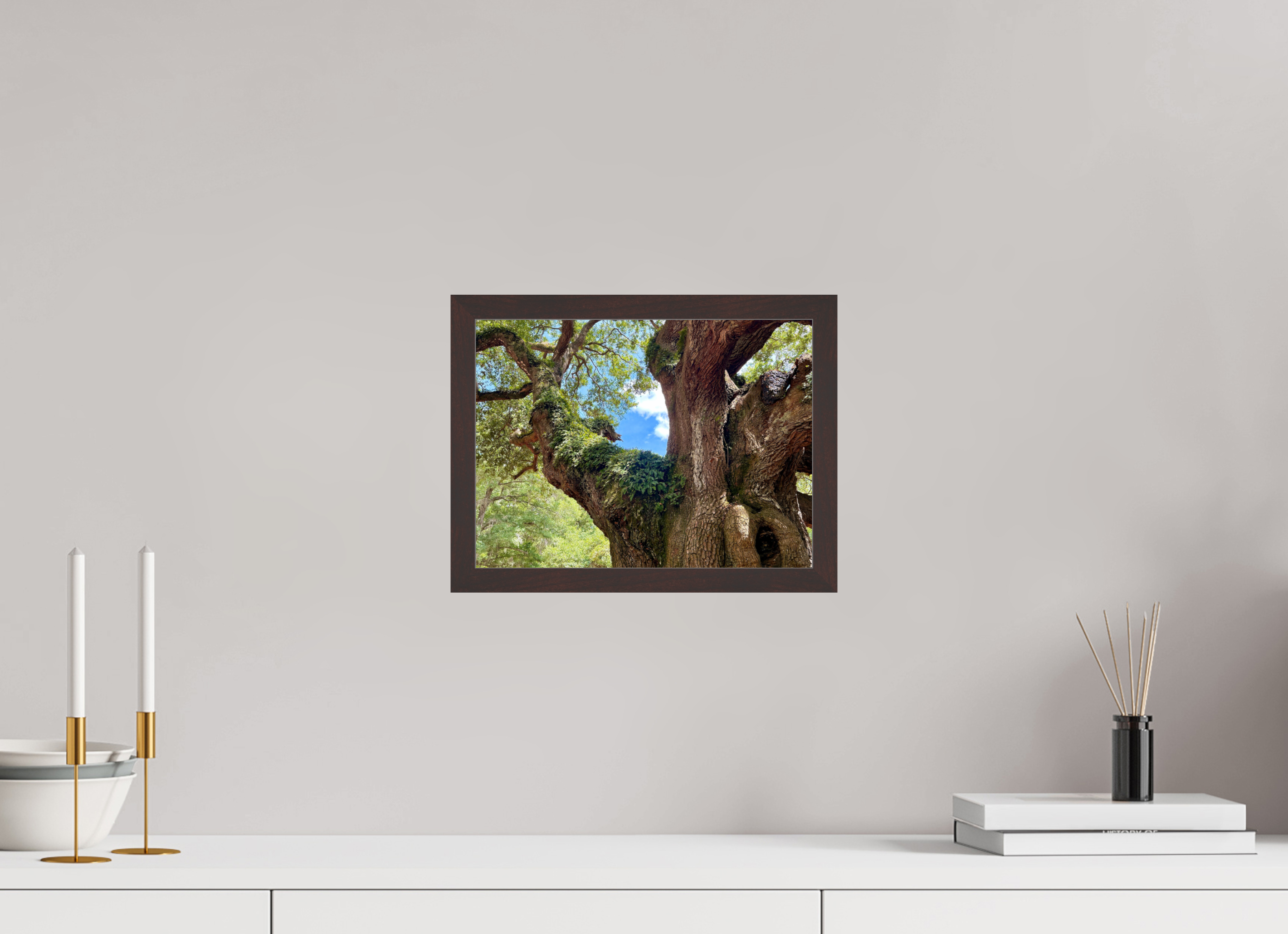 12 x 9″, ArtBox On Aluminum Dibond Angel Oak