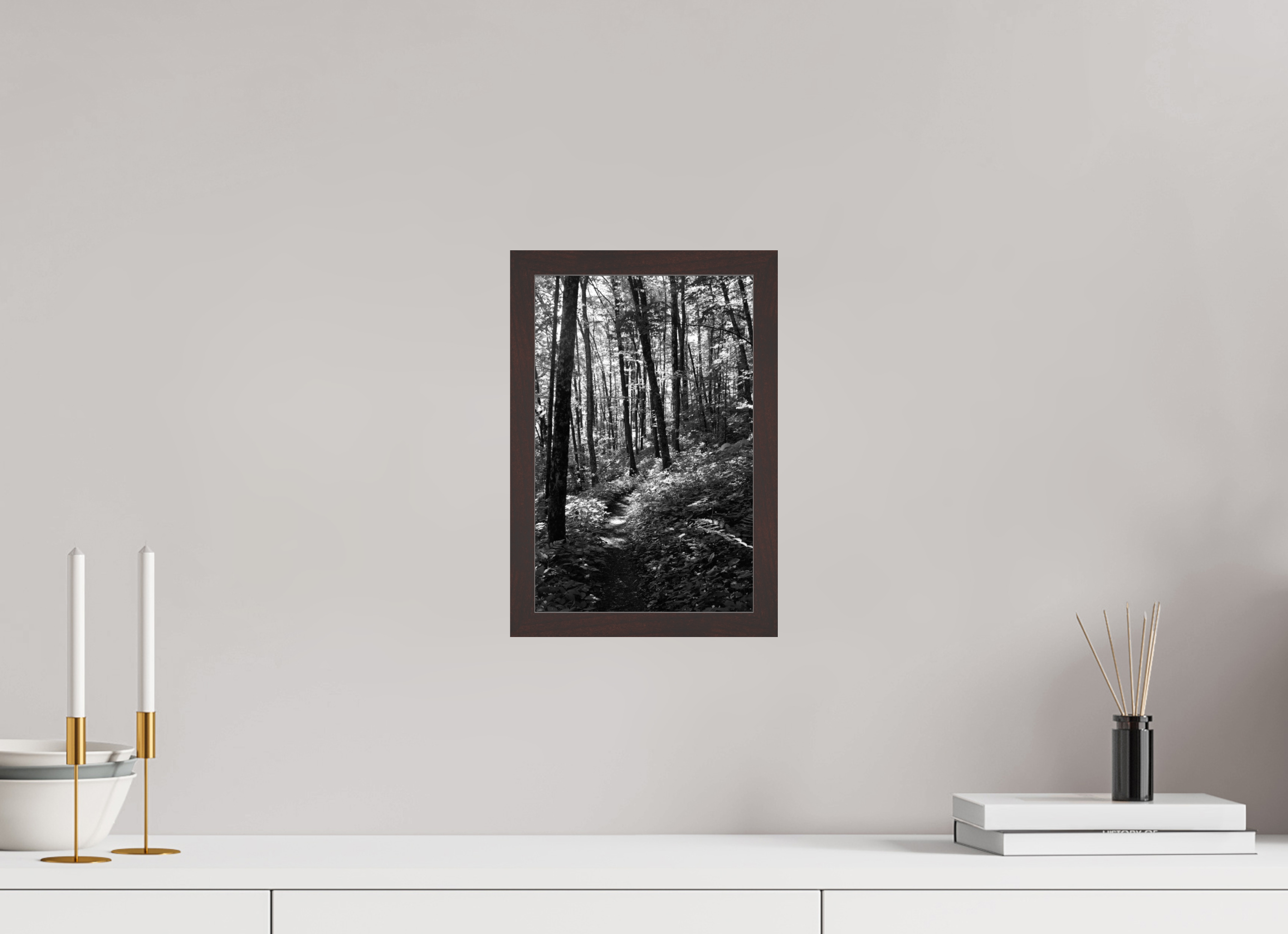 8 x 12″, ArtBox On Aluminum Dibond Appalachian Trail