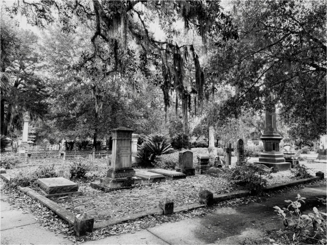 Main image Bonaventure Cemetery