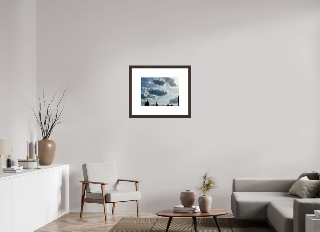 20 x 15″, Framed, Alder Brown, Color Print Seagull