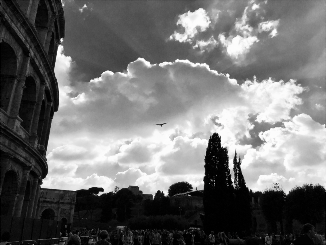 Main image Colosseum Pigeon