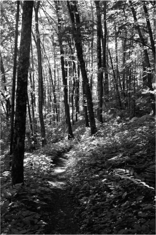 Main image Appalachian Trail, View 1