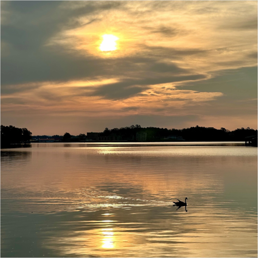 Main image Goose Crossing Lake Hamilton