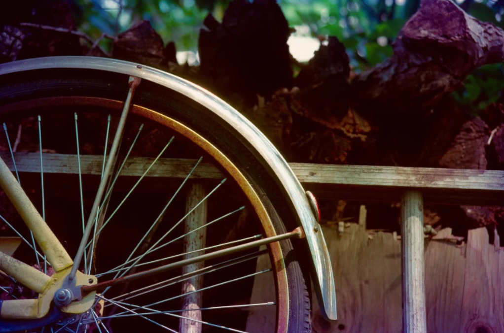 Bicycle and Ladder