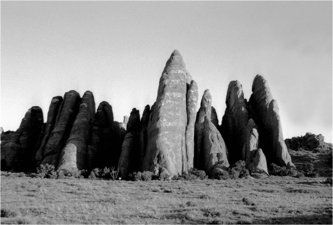 Main image Fin Formations