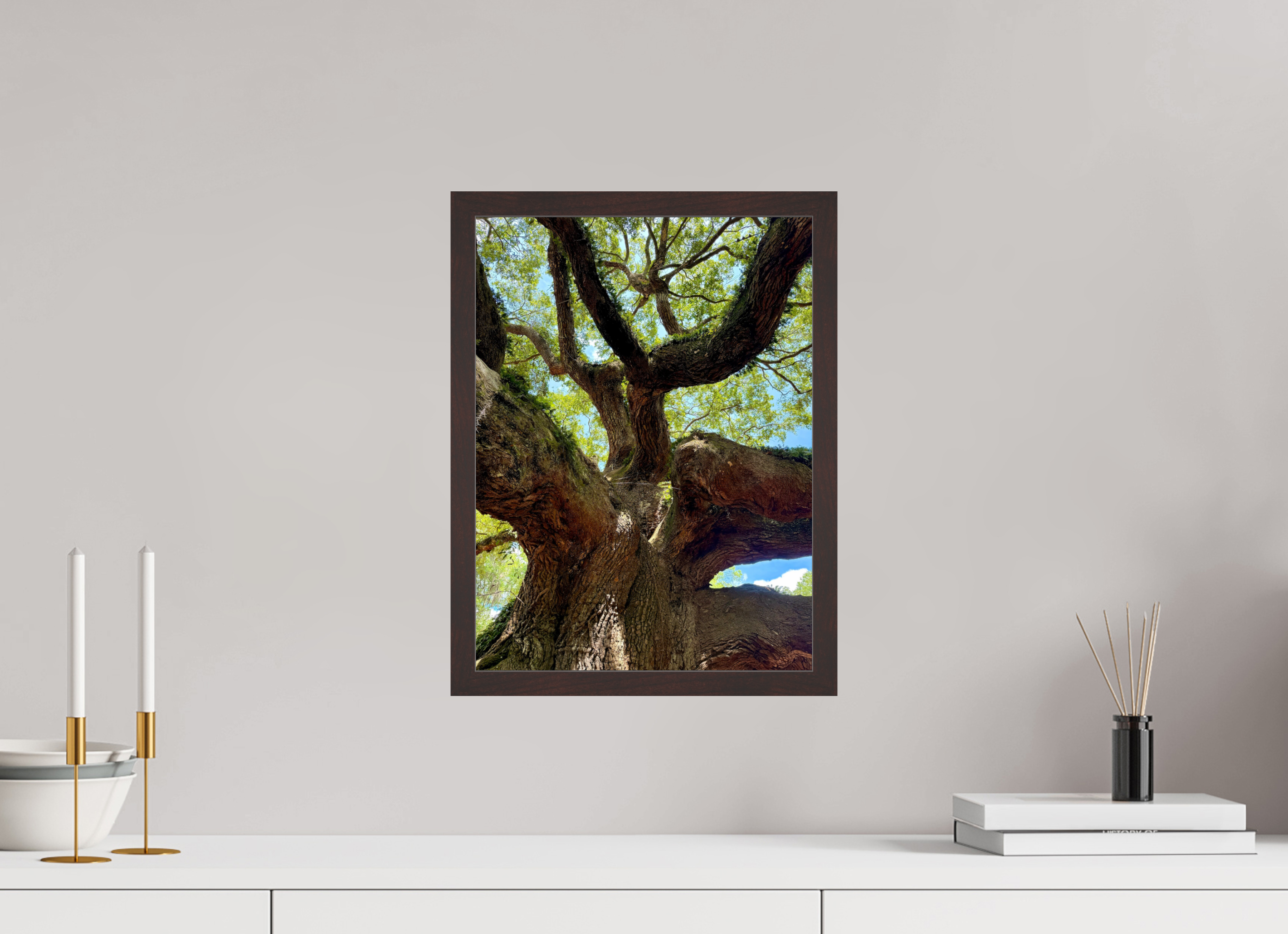 12 x 16″, ArtBox On Aluminum Dibond Angel Oak