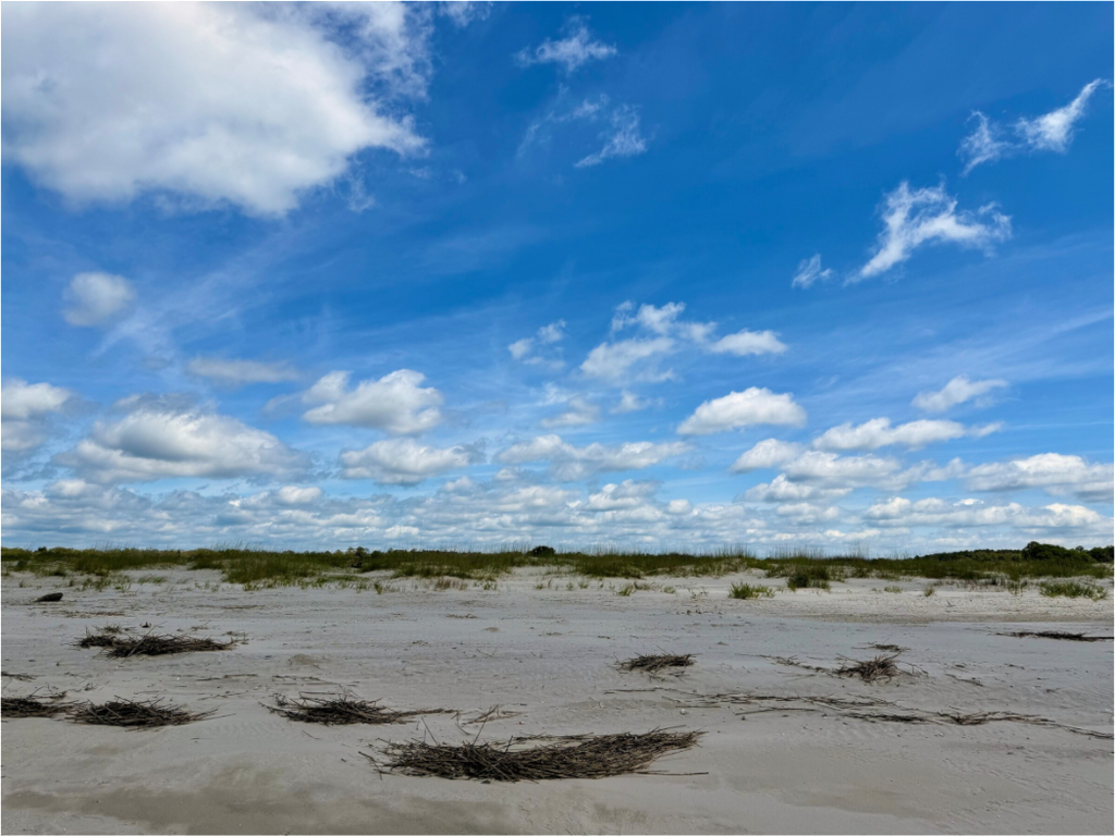 Main image Beach at Capers Island