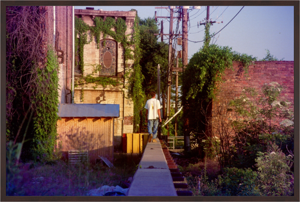 Main image Levee Walker