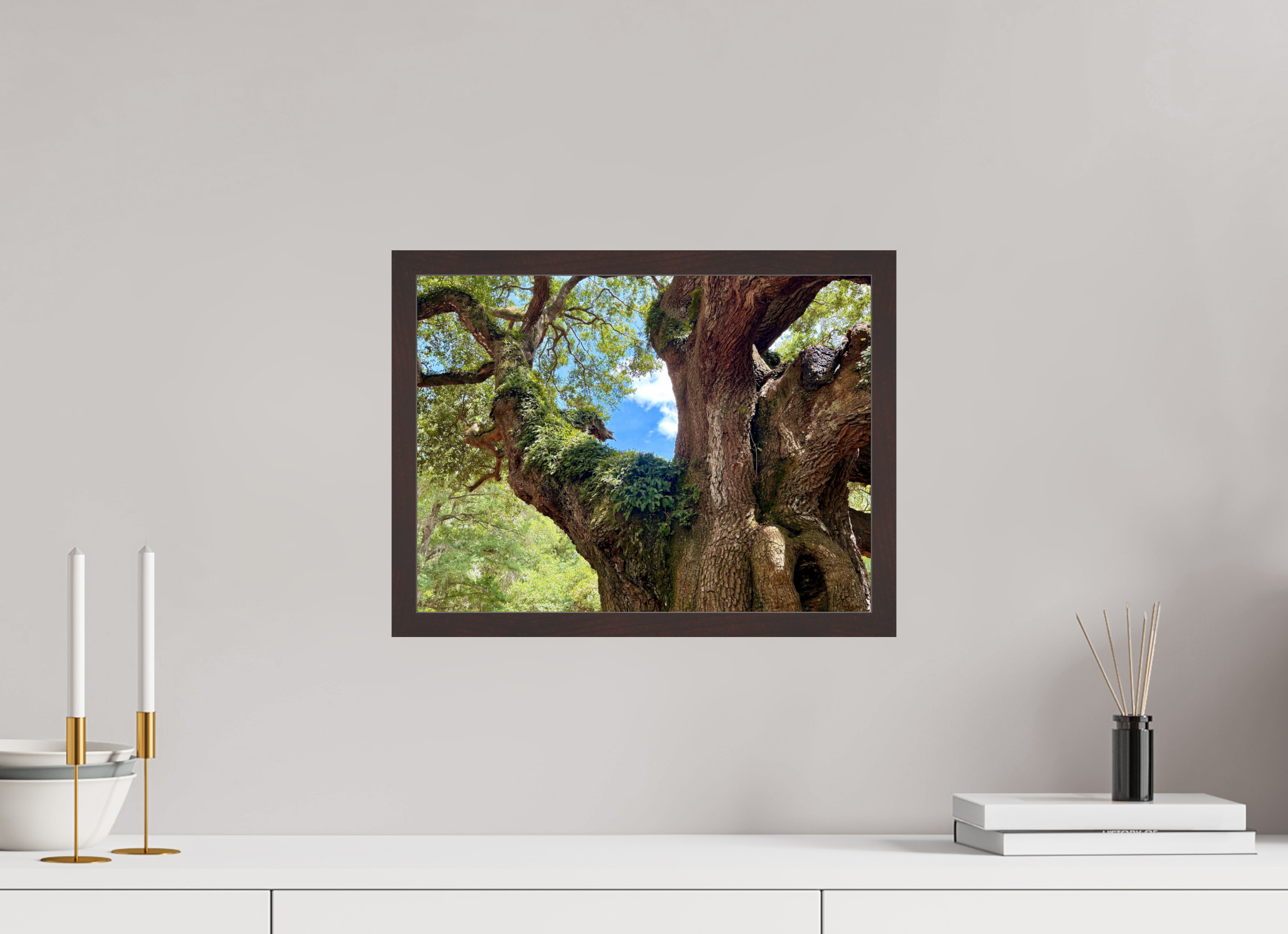 16 x 12″, ArtBox On Aluminum Dibond Angel Oak