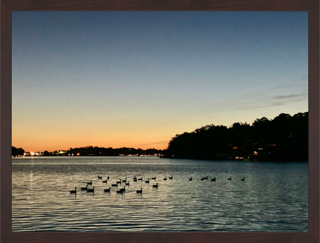 Main image Ducks at Dawn