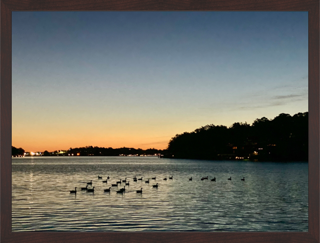 Main image Ducks at Dawn