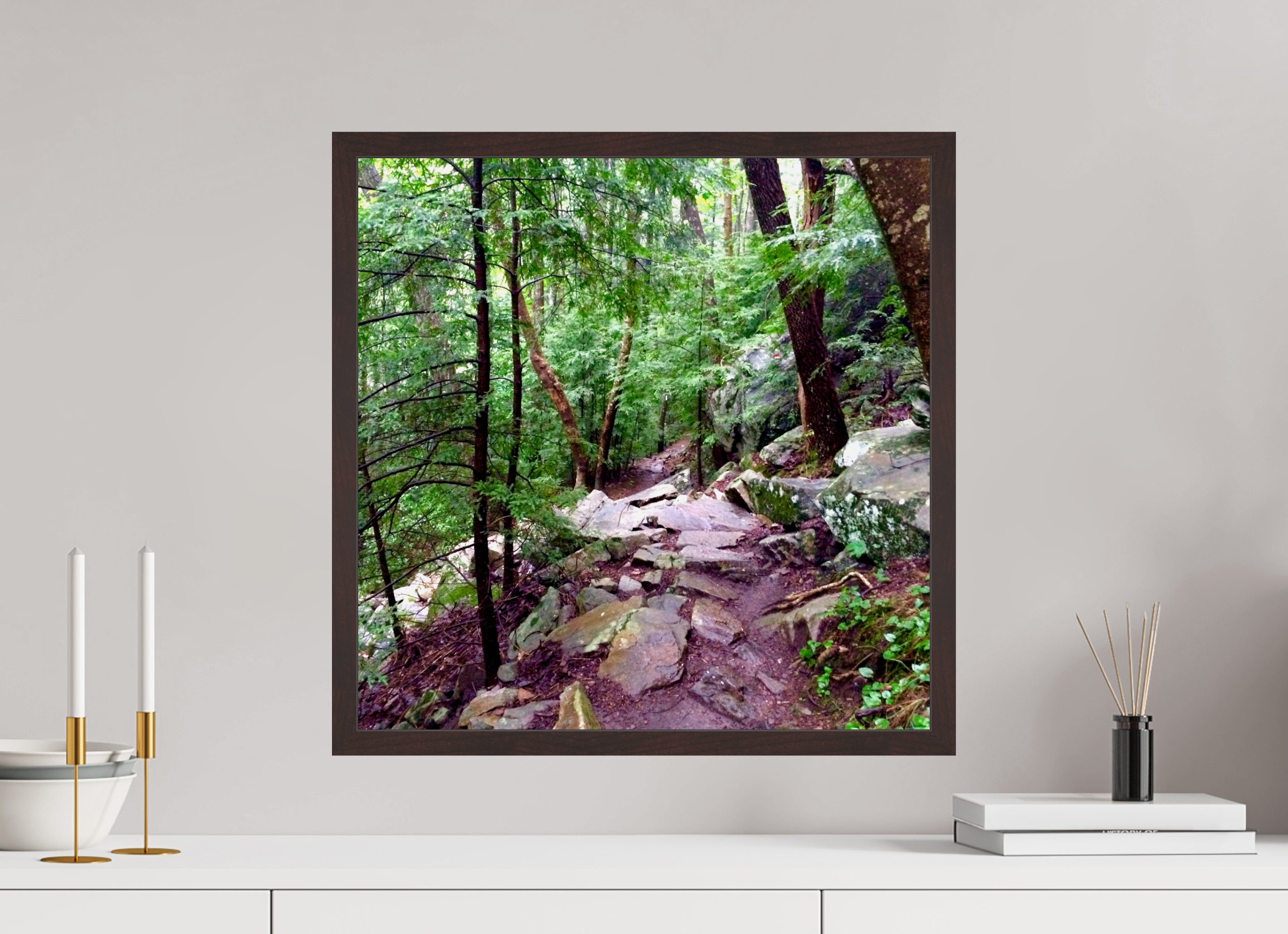20 x 20″, ArtBox On Aluminum Dibond On a Trail Near Foster Falls