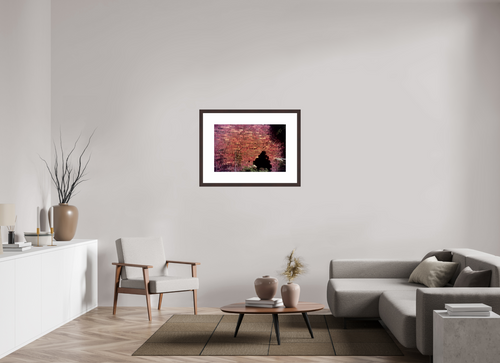 30 x 20″, Framed, Alder Brown, Color Print A Hole In the Wall