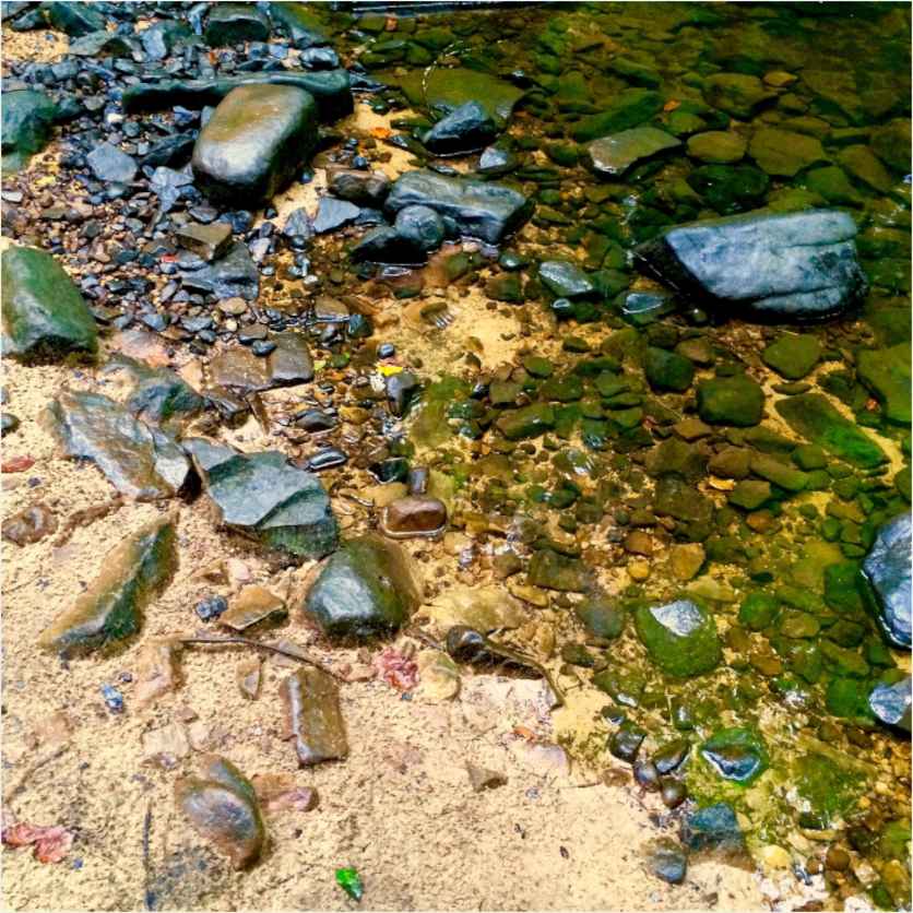 Main image Stream Bed