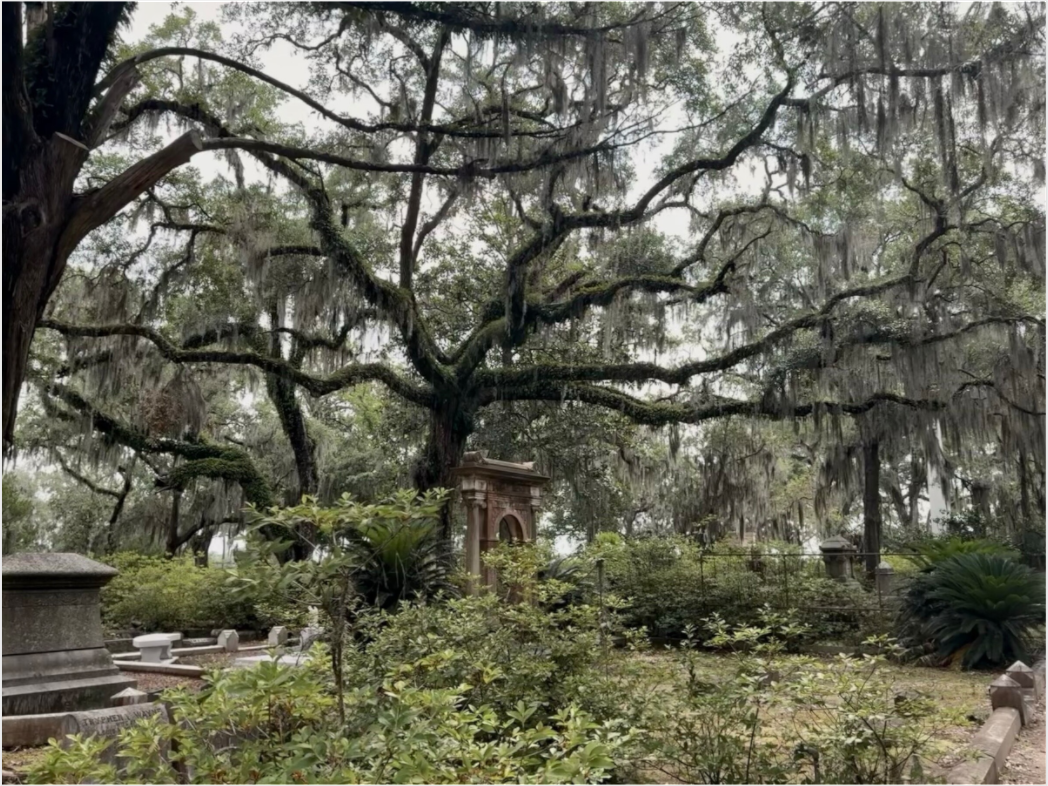 Main image Bonaventure Cemetery