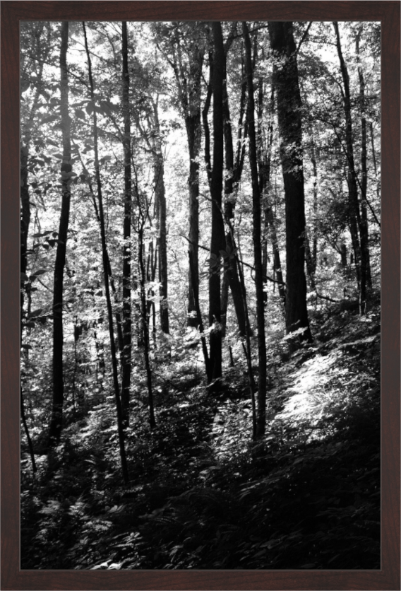 Main image Appalachian Trail