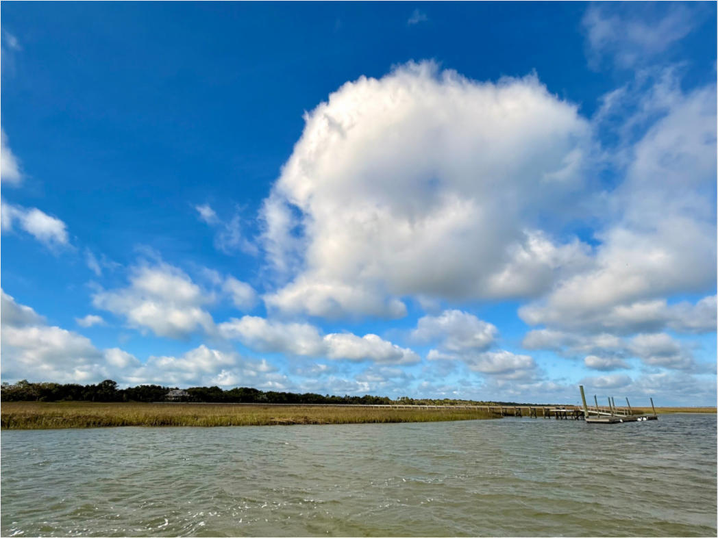 Main image Marsh Near Eagle Island
