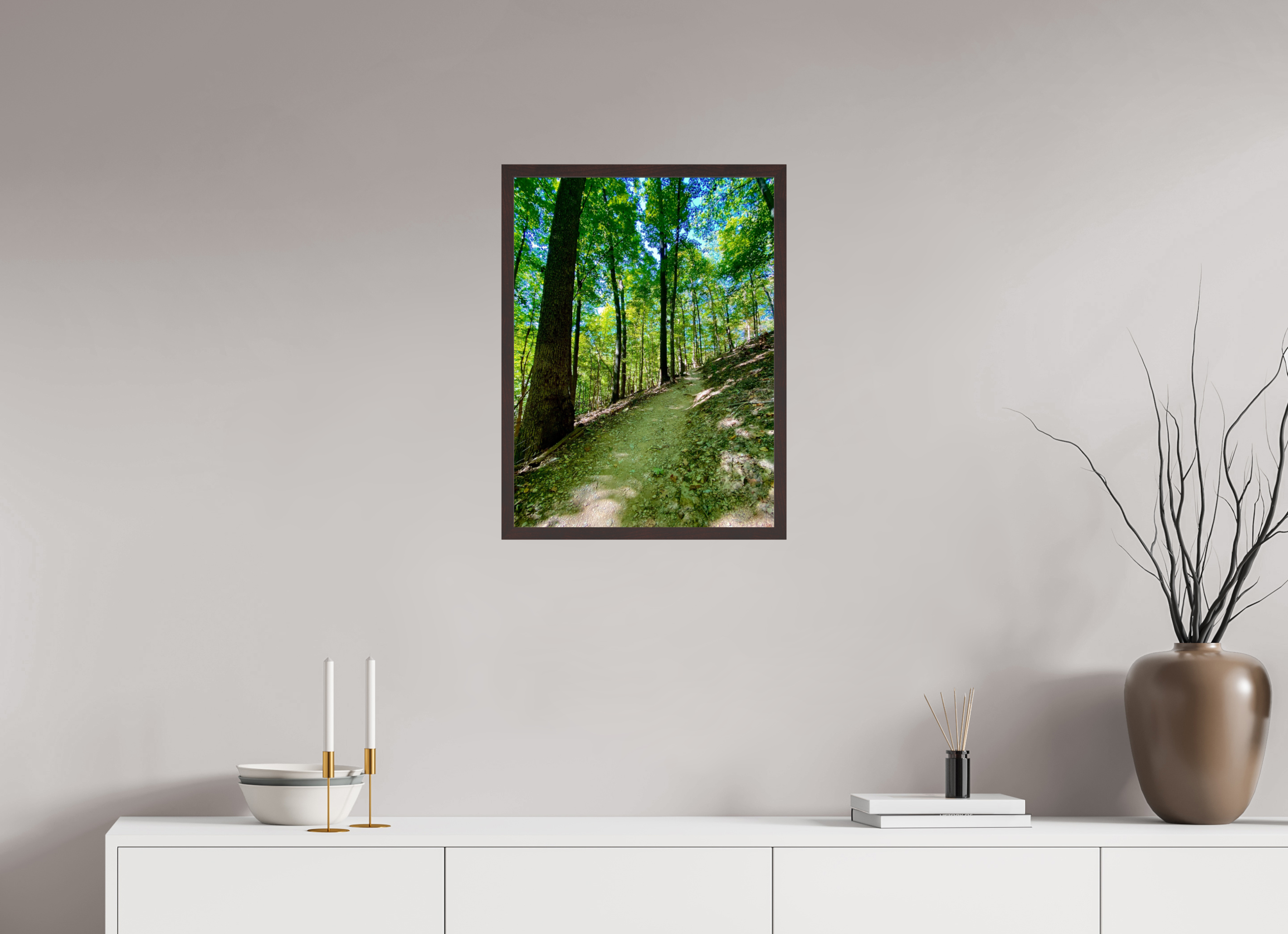 18 x 24″, ArtBox On Aluminum Dibond Trail at Radnor Lake