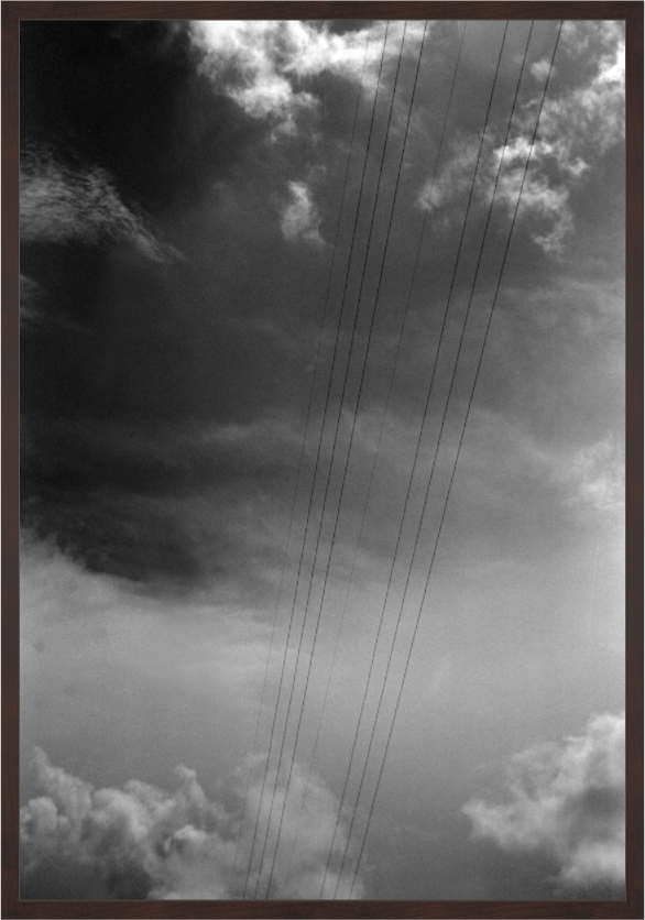Main image Lines
