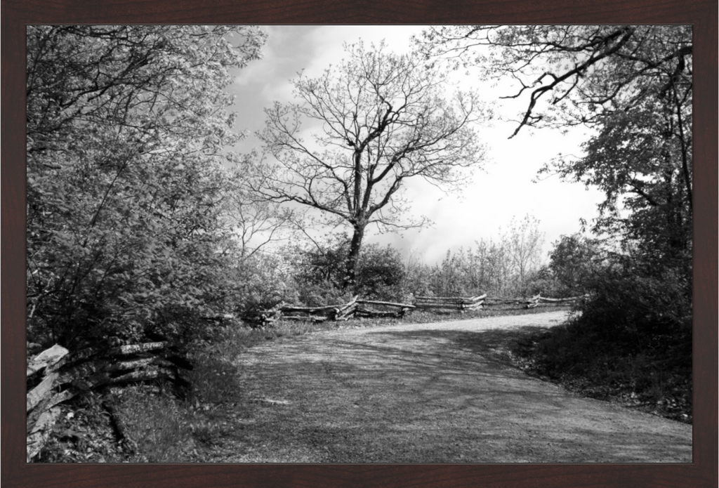 Main image Fence Along Mountain Pass