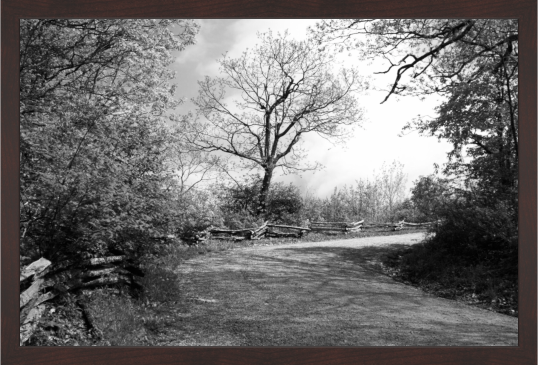 Main image Fence Along Mountain Pass