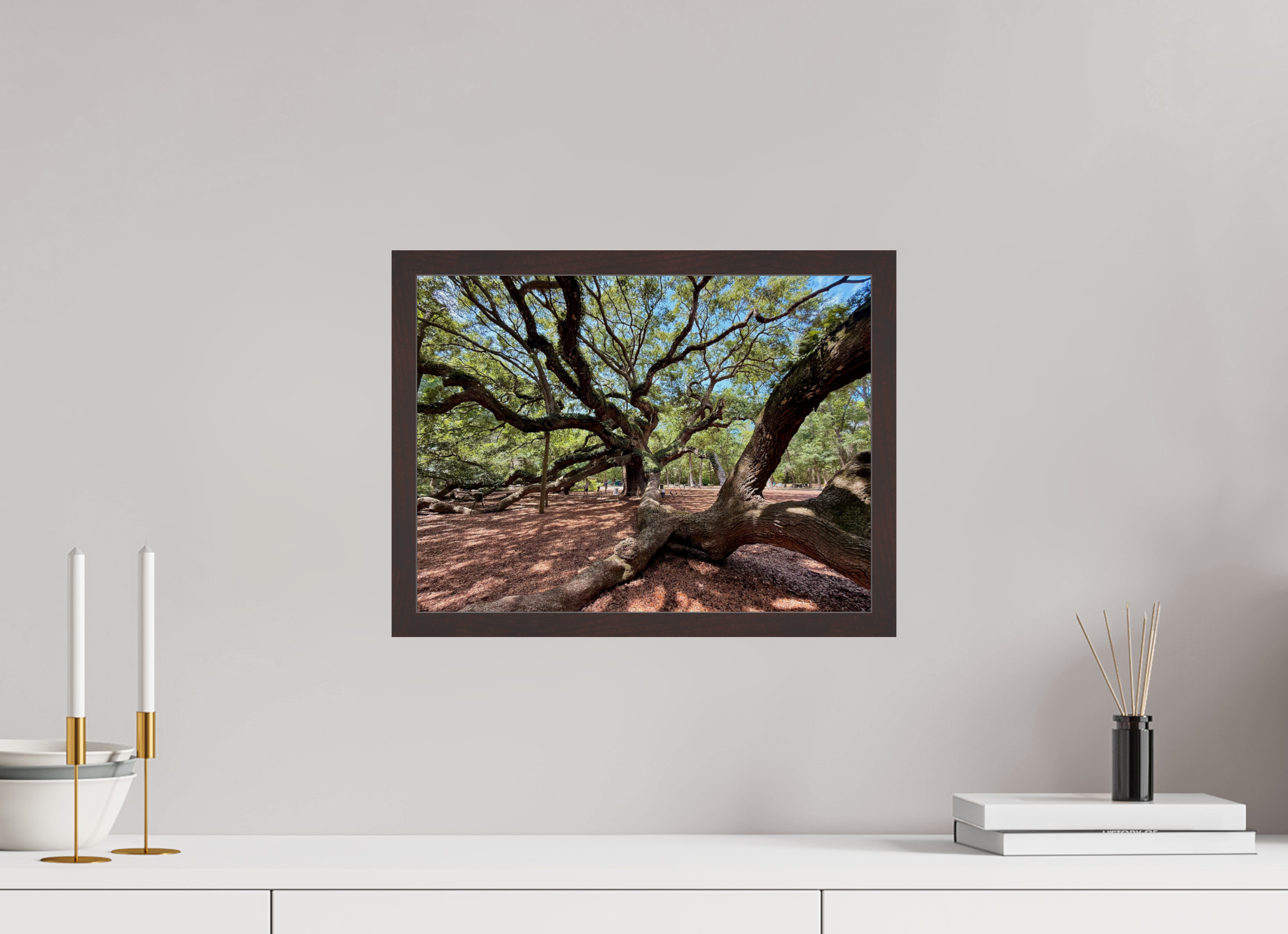16 x 12″, ArtBox On Aluminum Dibond Angel Oak