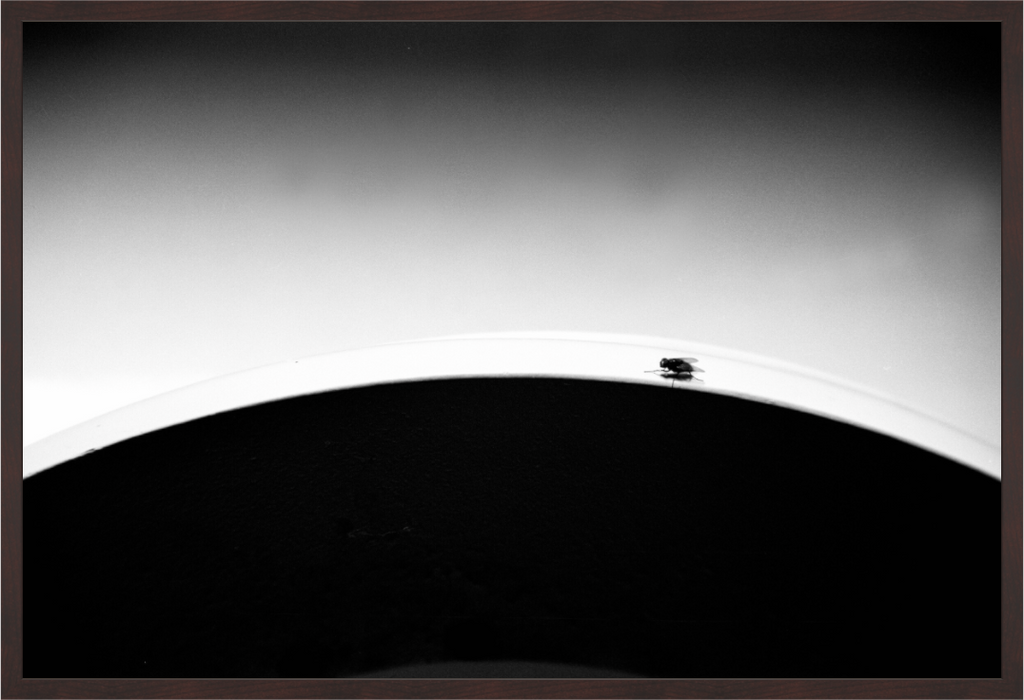 Main image Fly
