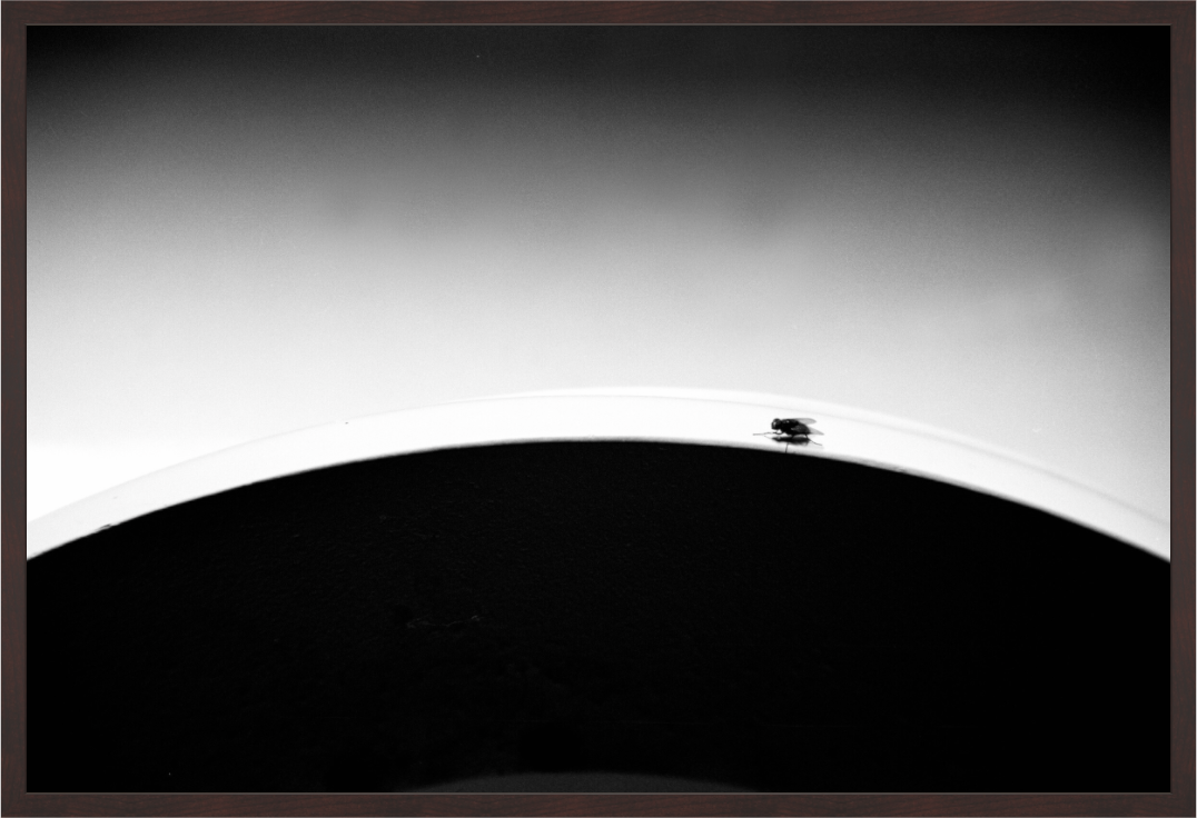 Main image Fly