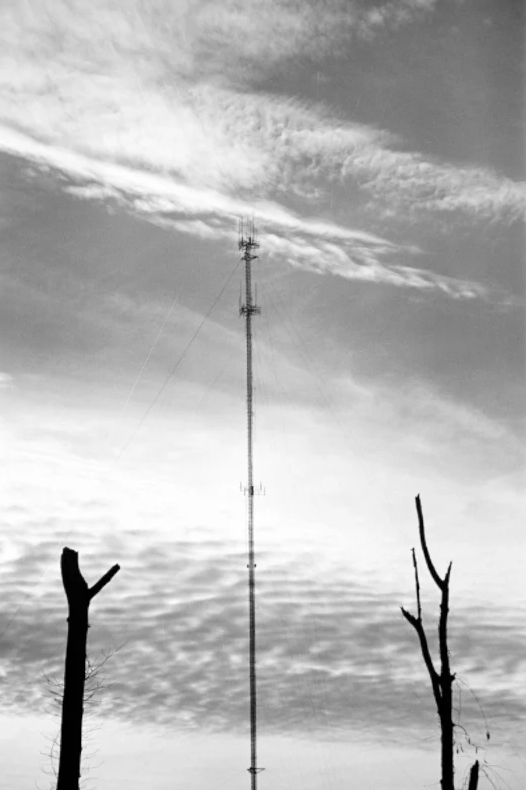 Antenna and Trees