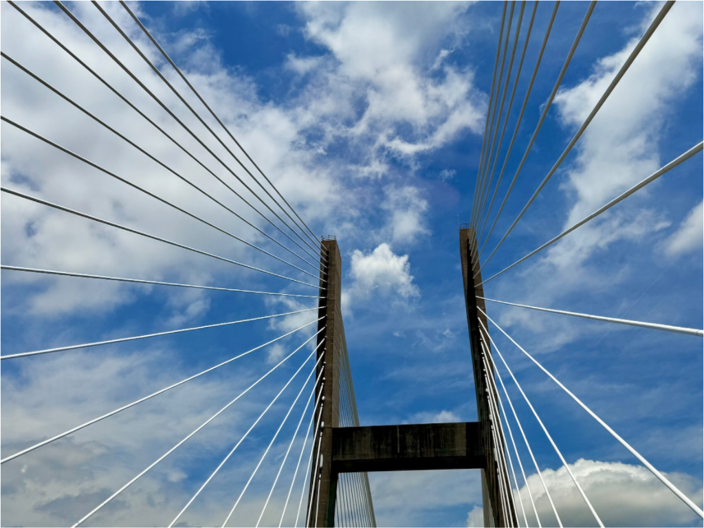 Main image Talmage Memorial Bridge