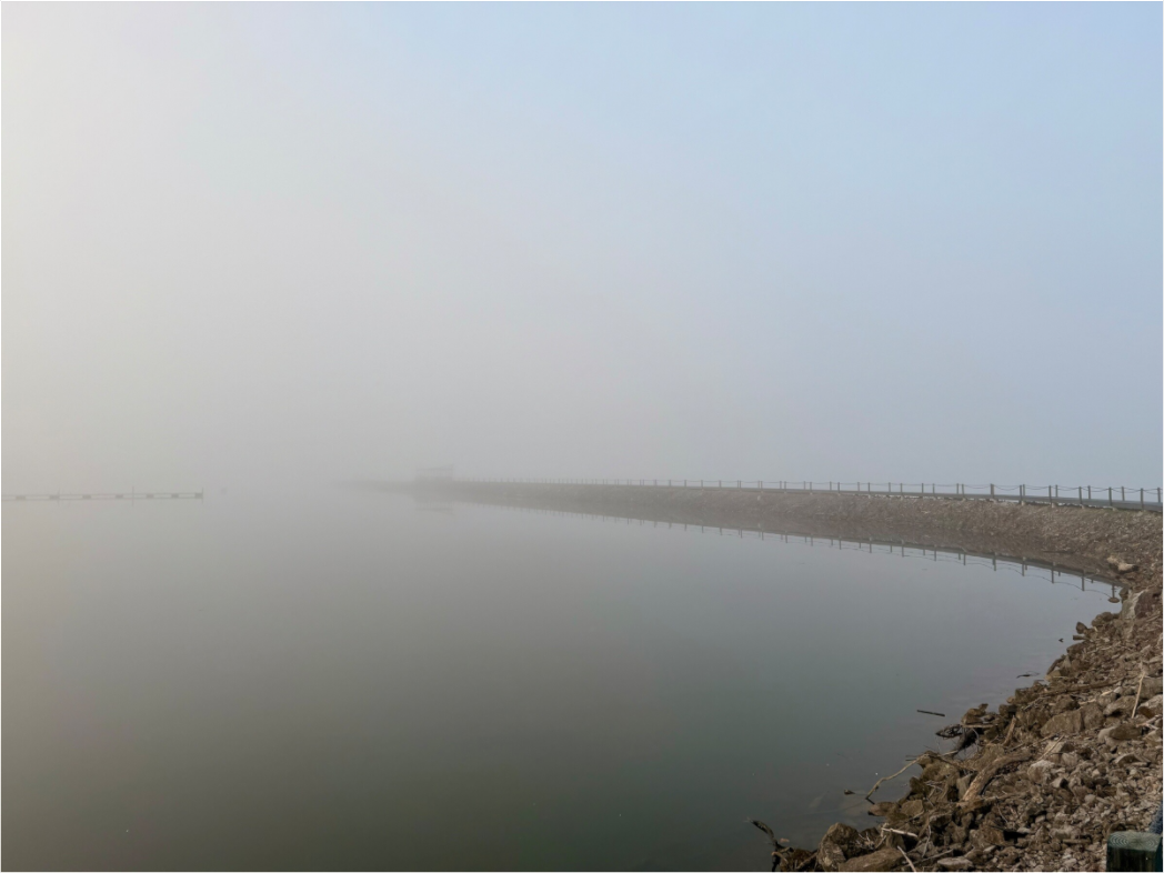 Main image Jetty, Foggy Morning